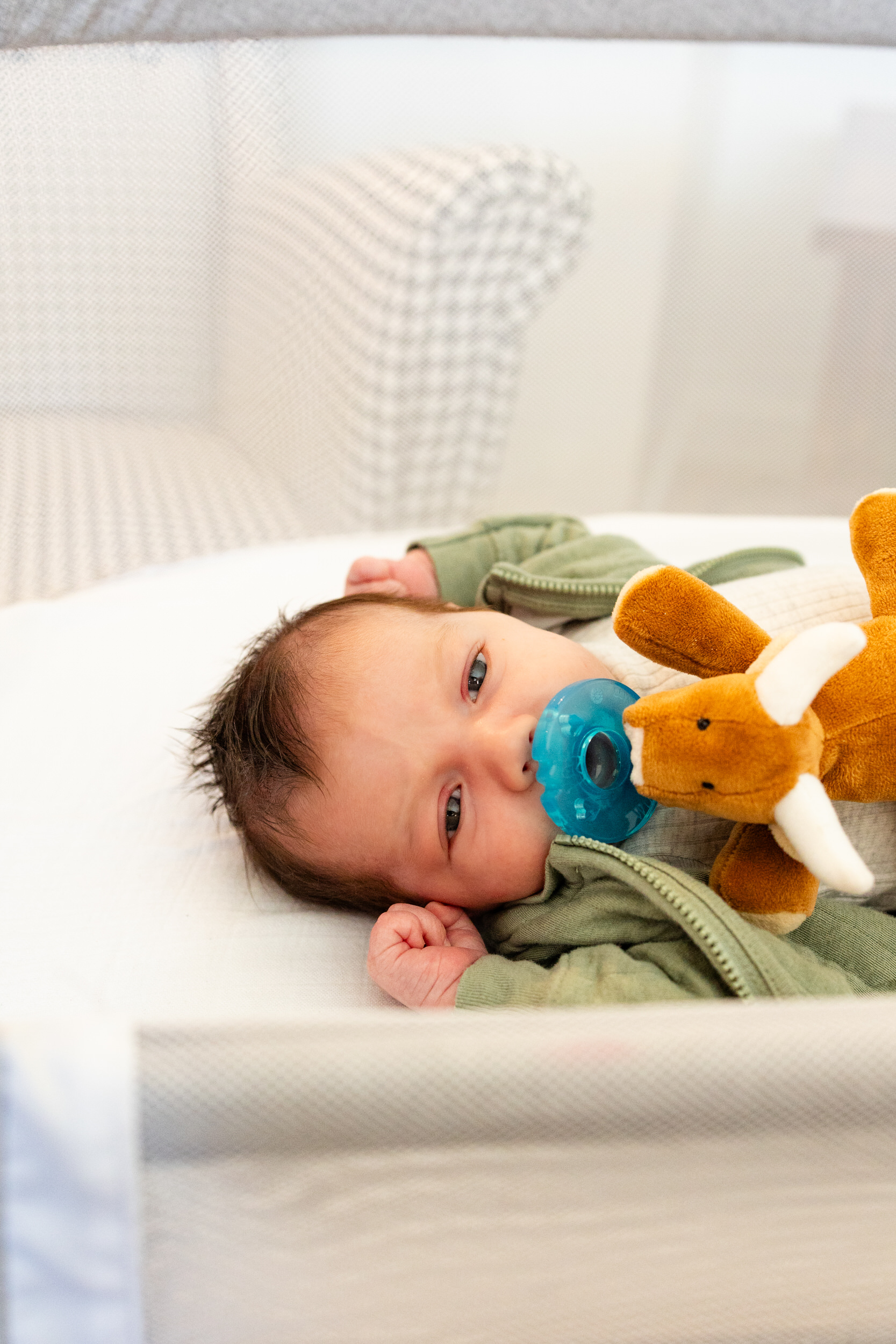 Newborn baby boy sucking on a pacifier while laying in his bassinet.
