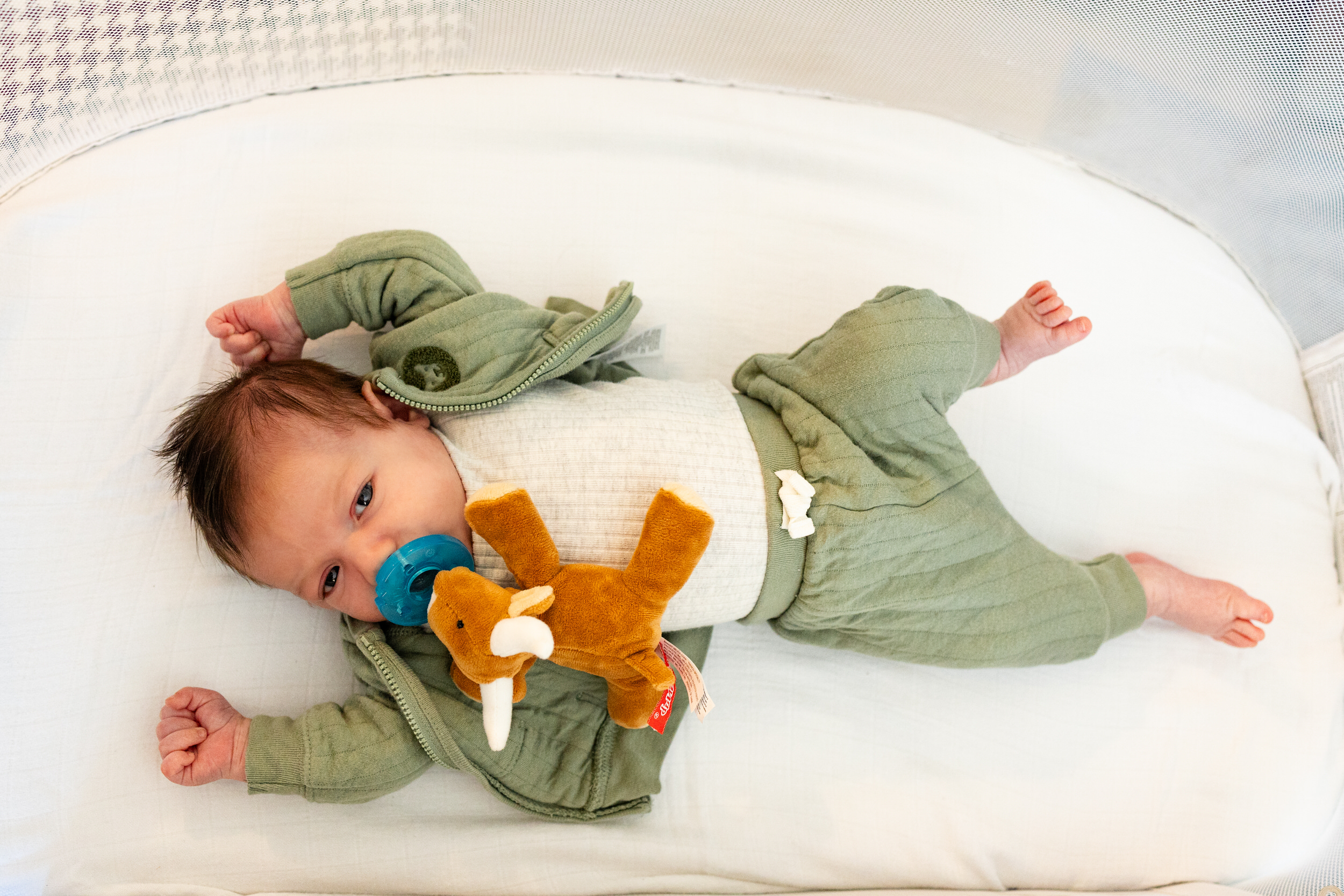 Newborn baby boy sucking on a pacifier while laying in his bassinet.