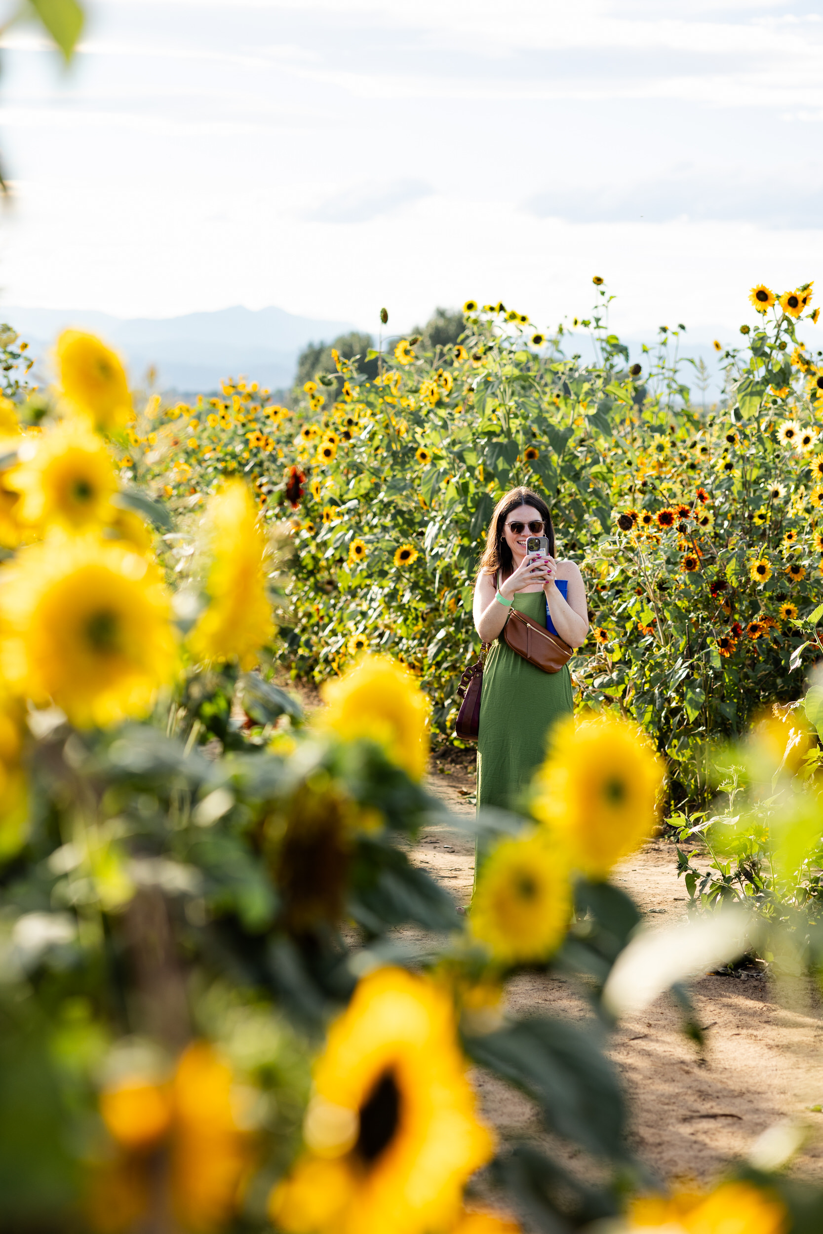A woman in a sunflower field is filming her friend's proposal on her phone.