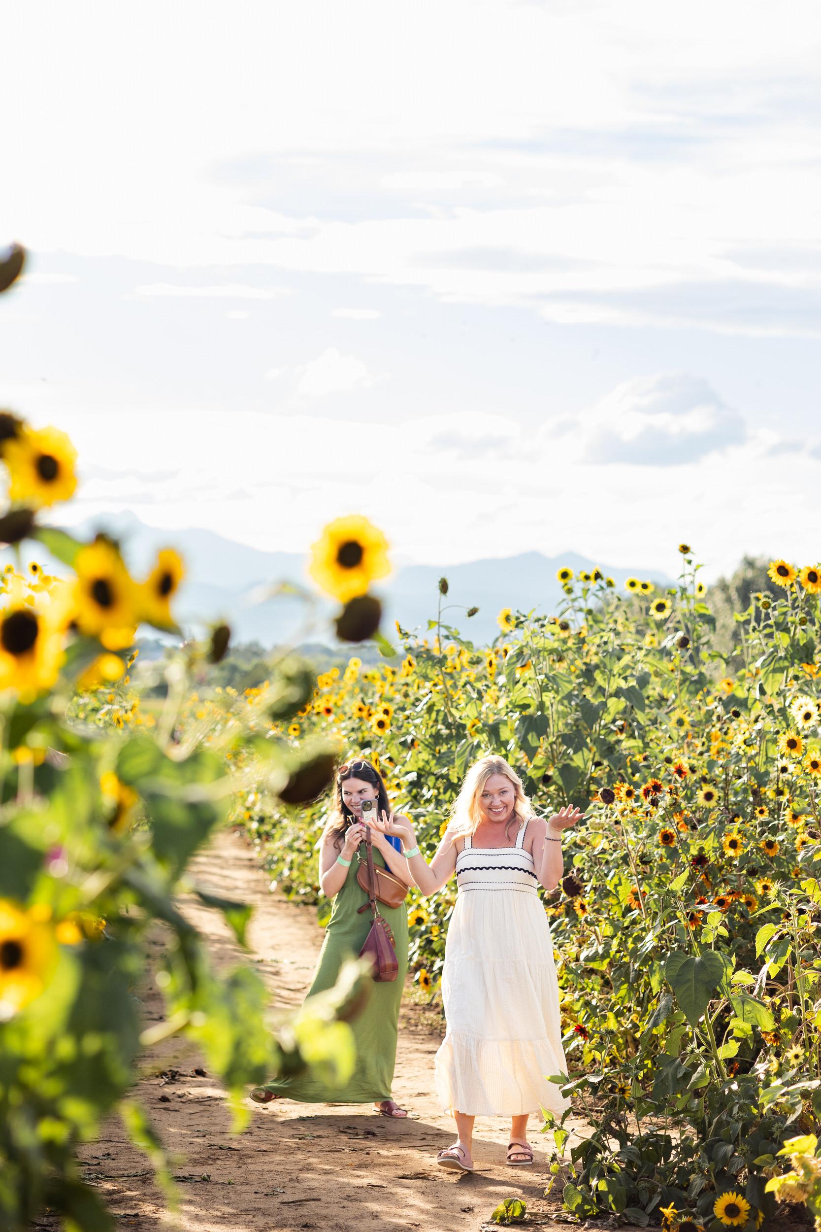 Two women are walking in a sunflower field and one of them looks surprised.