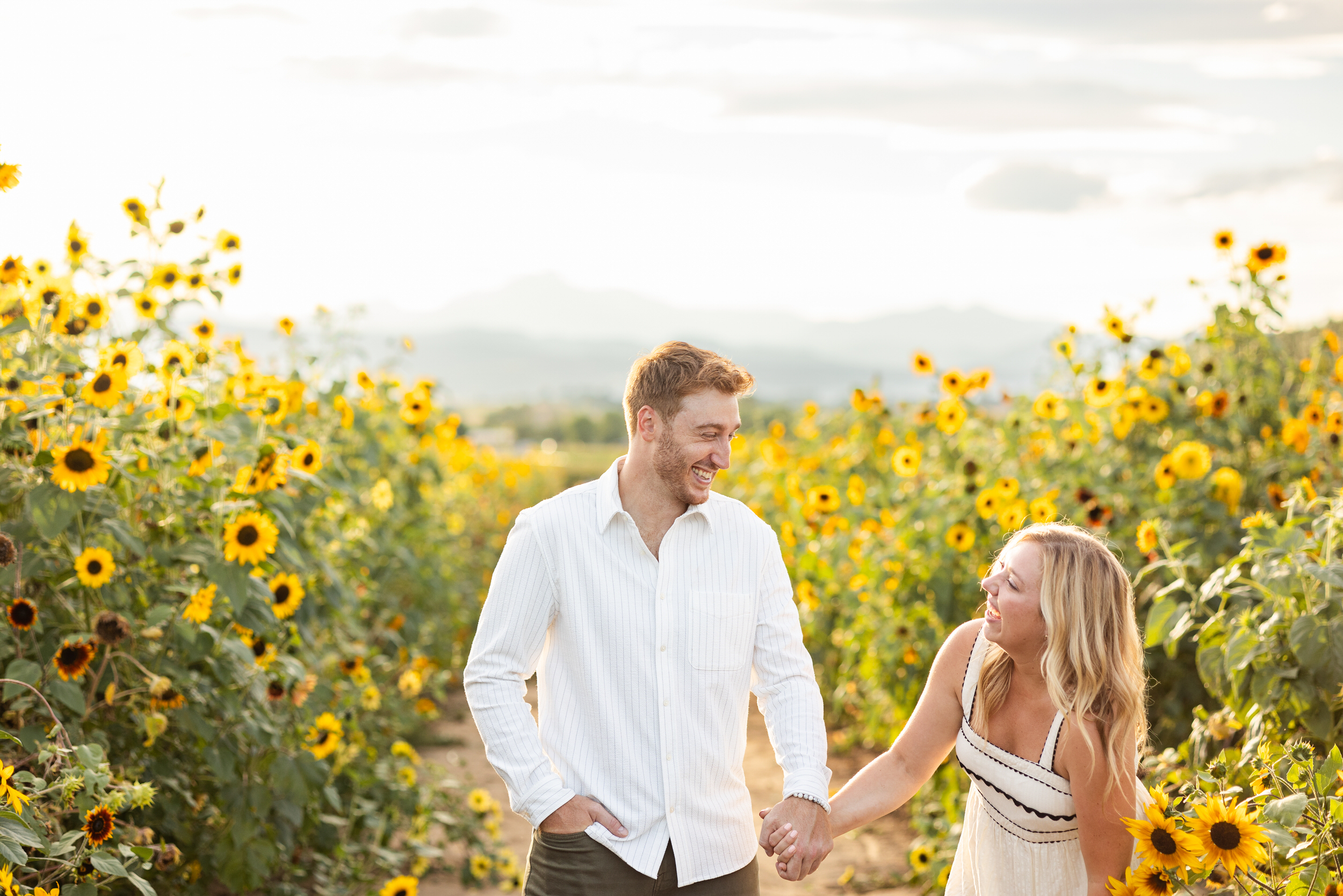 An engaged couple hold hands and laugh with each other in a sunflower field.