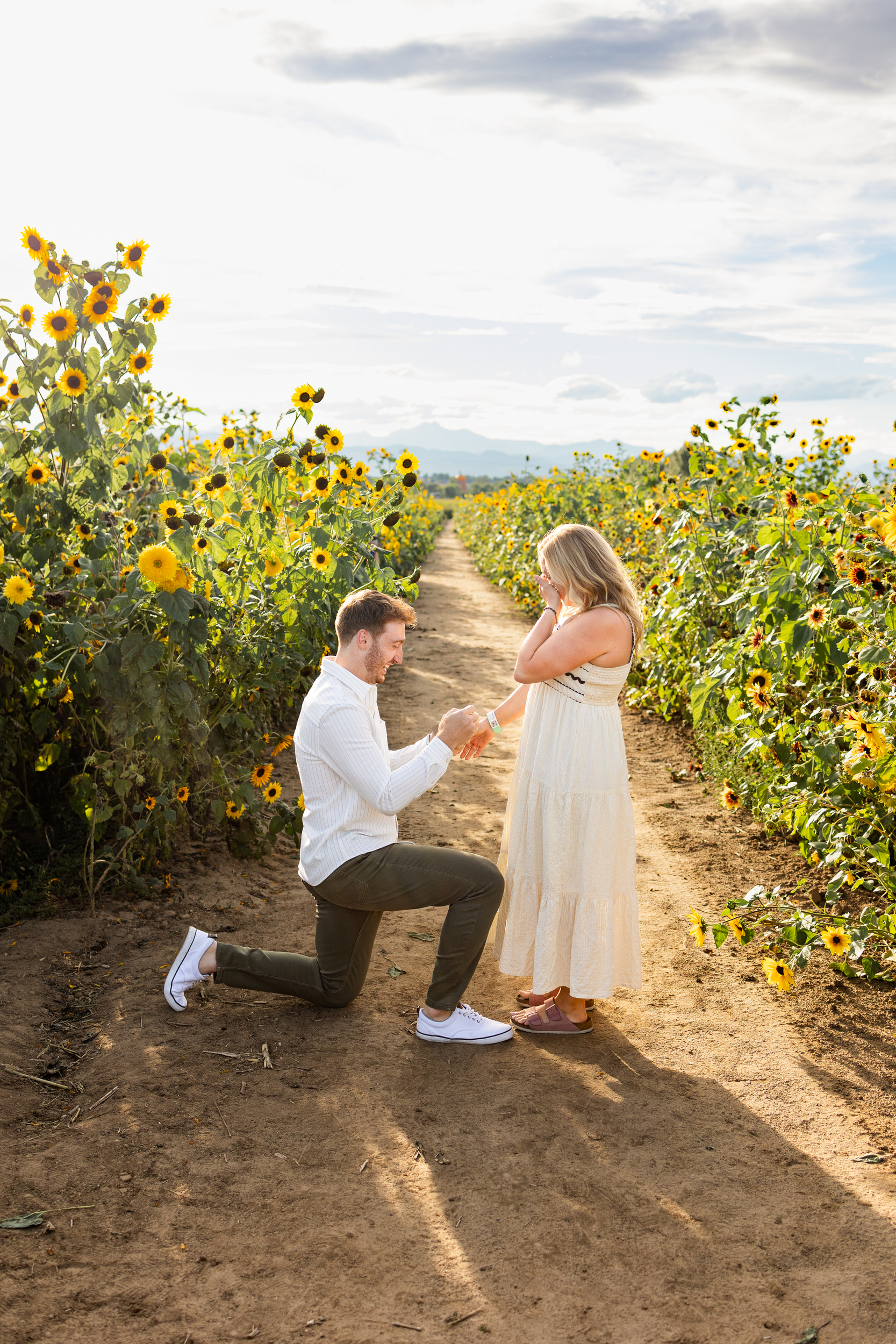 A man is down on one knee in a sunflower field proposing to his girlfriend.