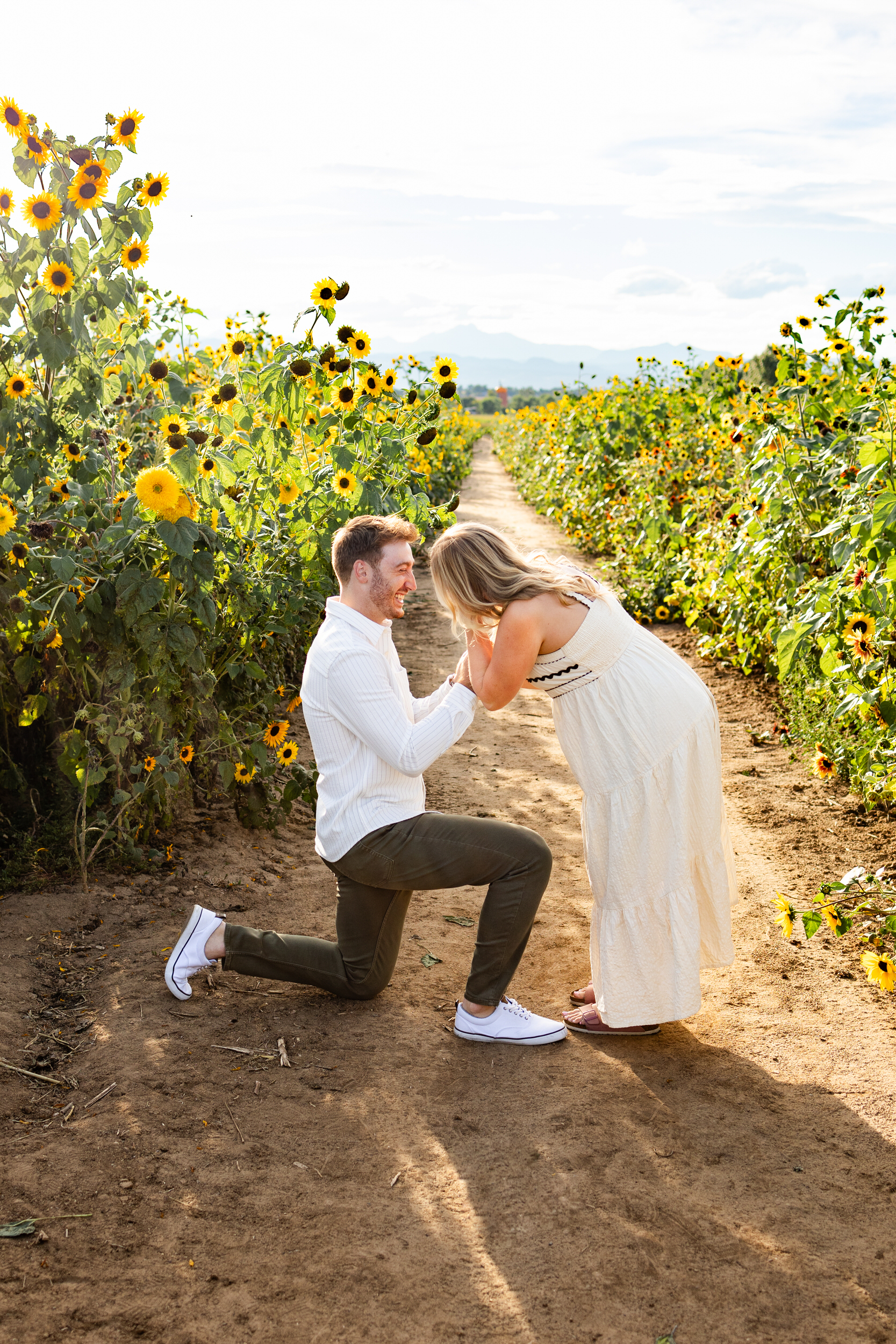 A man is down on one knee in a sunflower field proposing to his girlfriend.