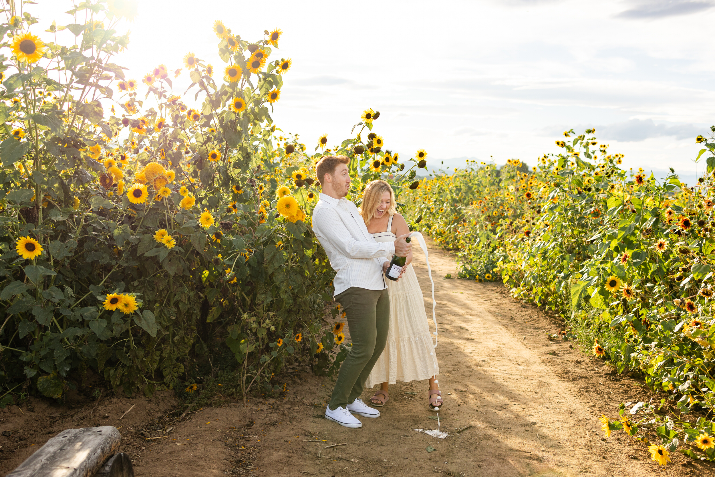 A newly engaged couple pops champagne in a sunflower field.