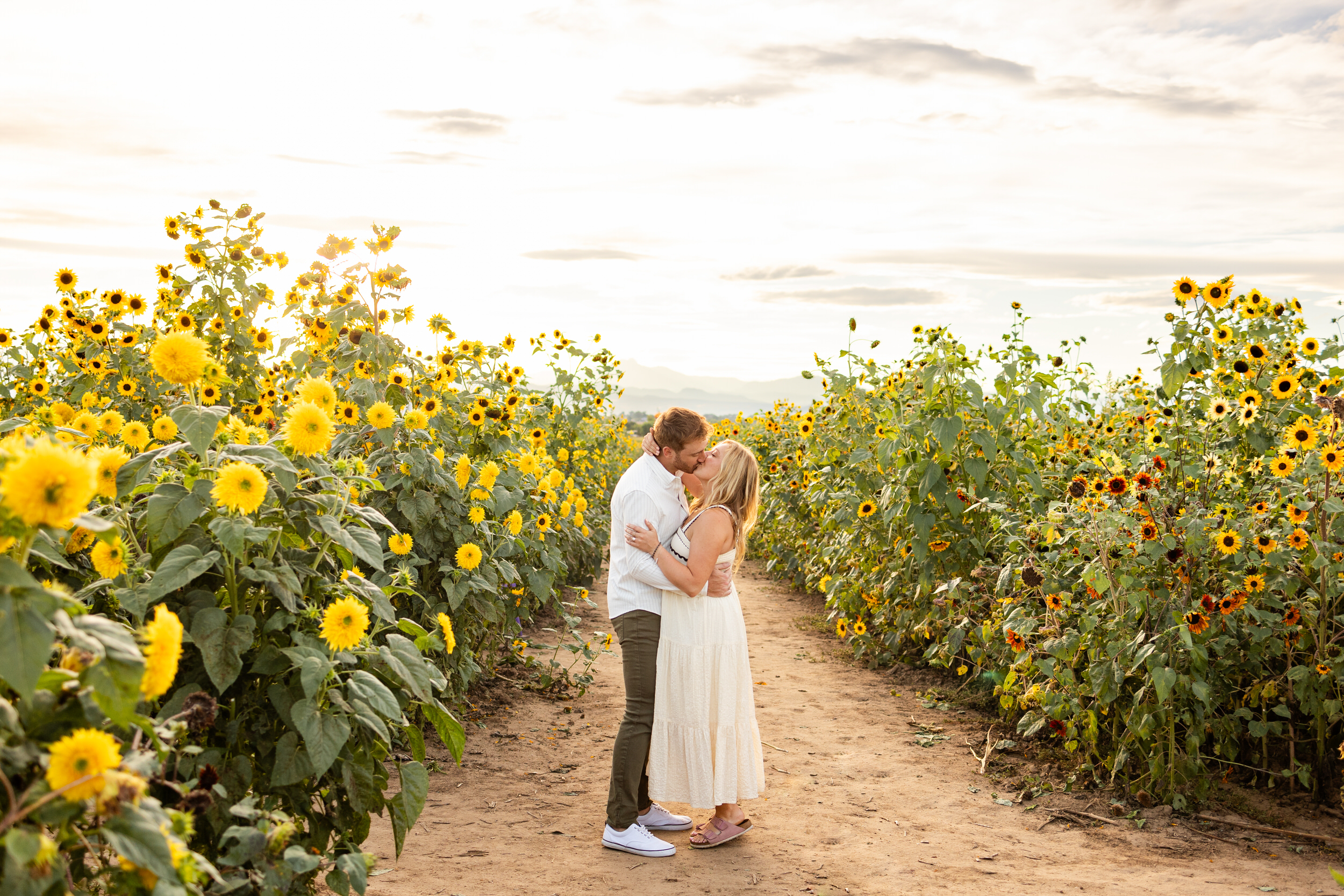 An engaged couple shares a kiss in a sunflower field.