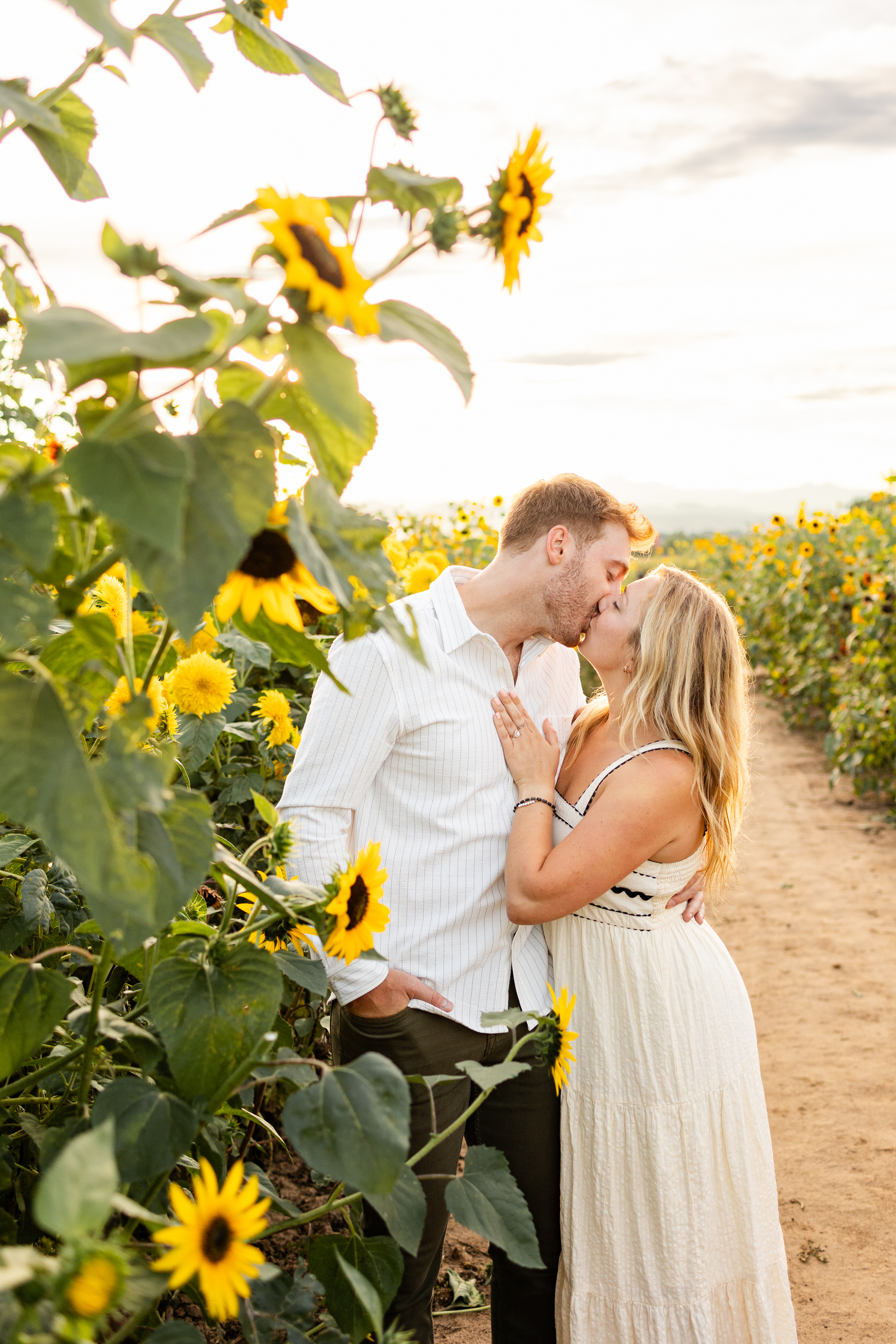 An engaged couple shares a kiss in a sunflower field.