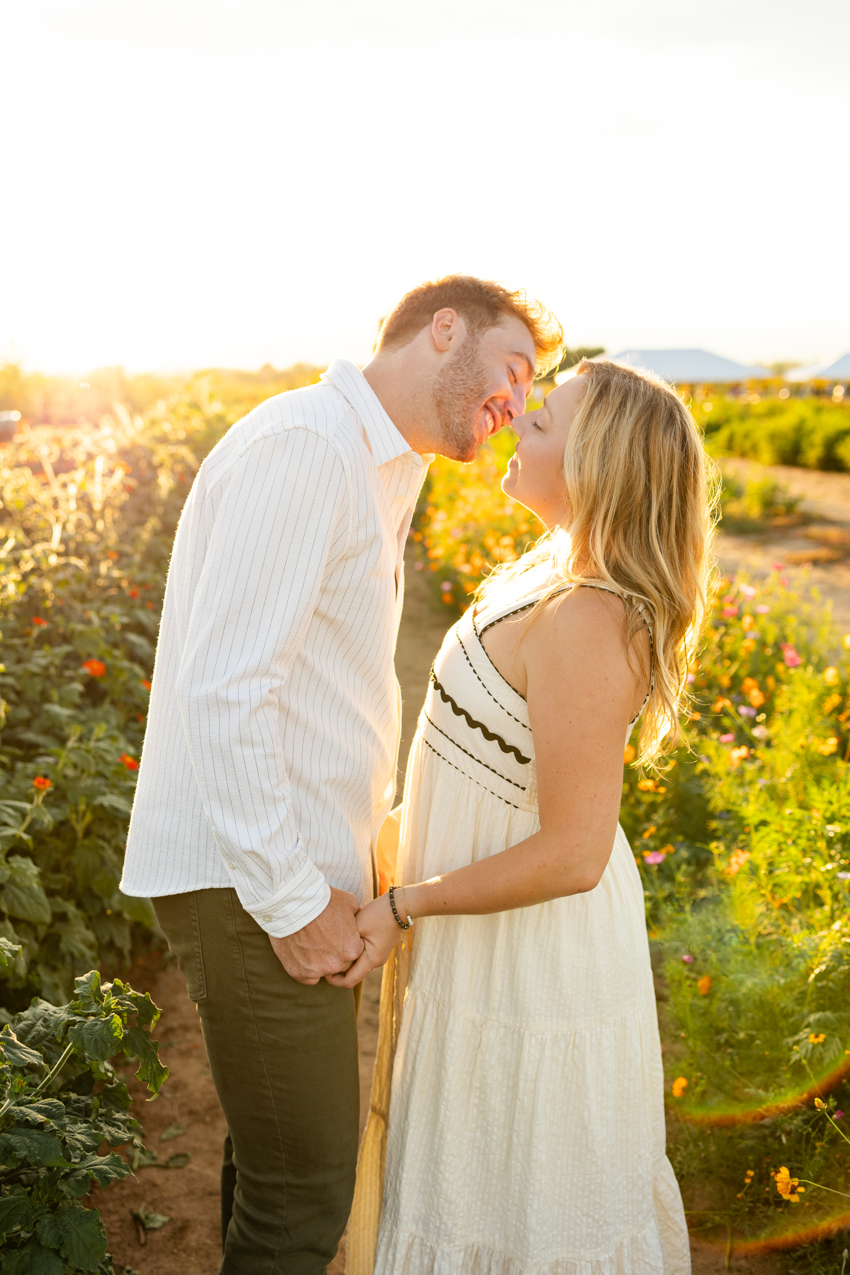 A newly engaged couple leans in for a kiss in a field of flowers at sunset.