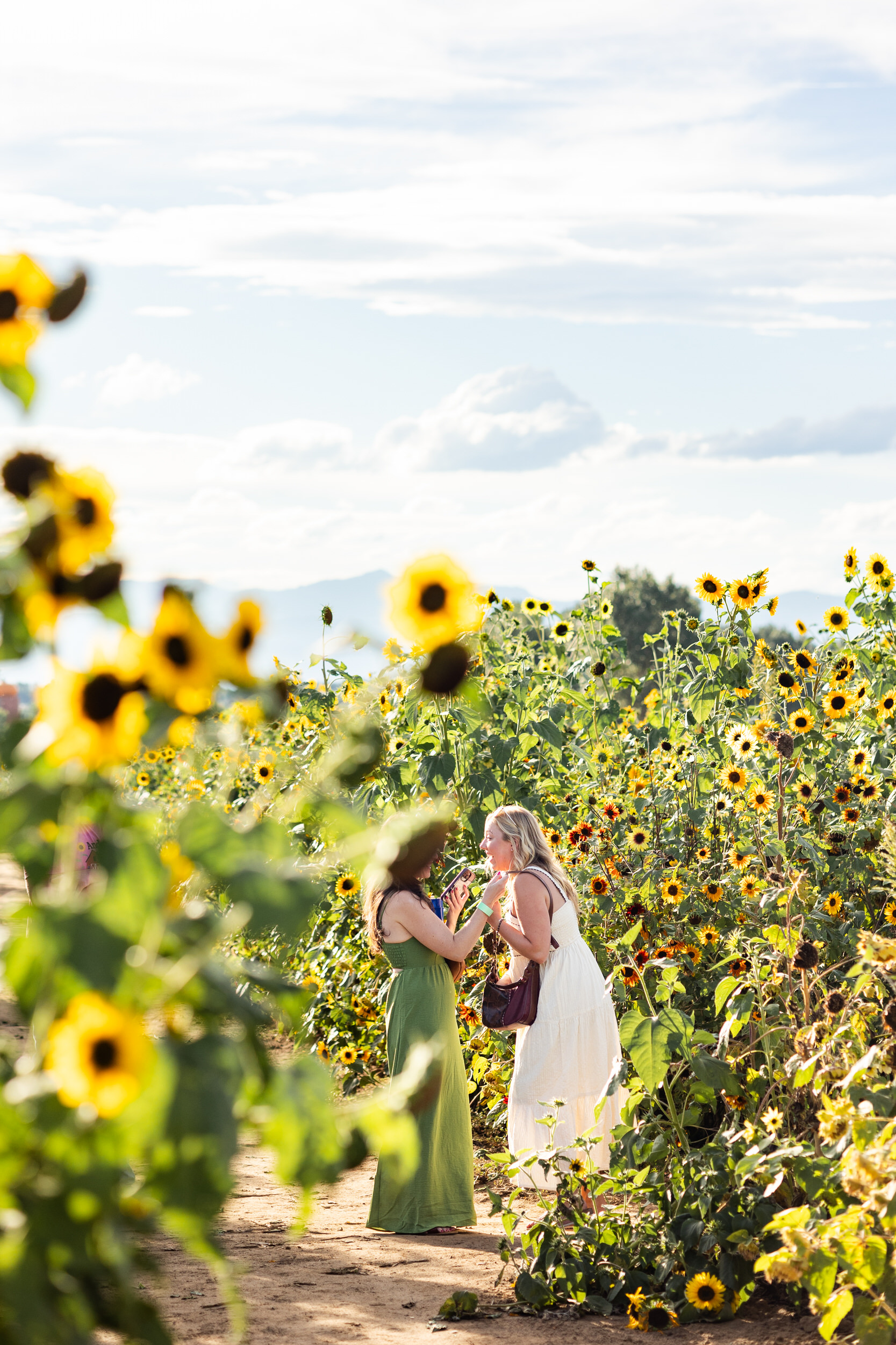 A woman is talking with her friend in a sunflower field.