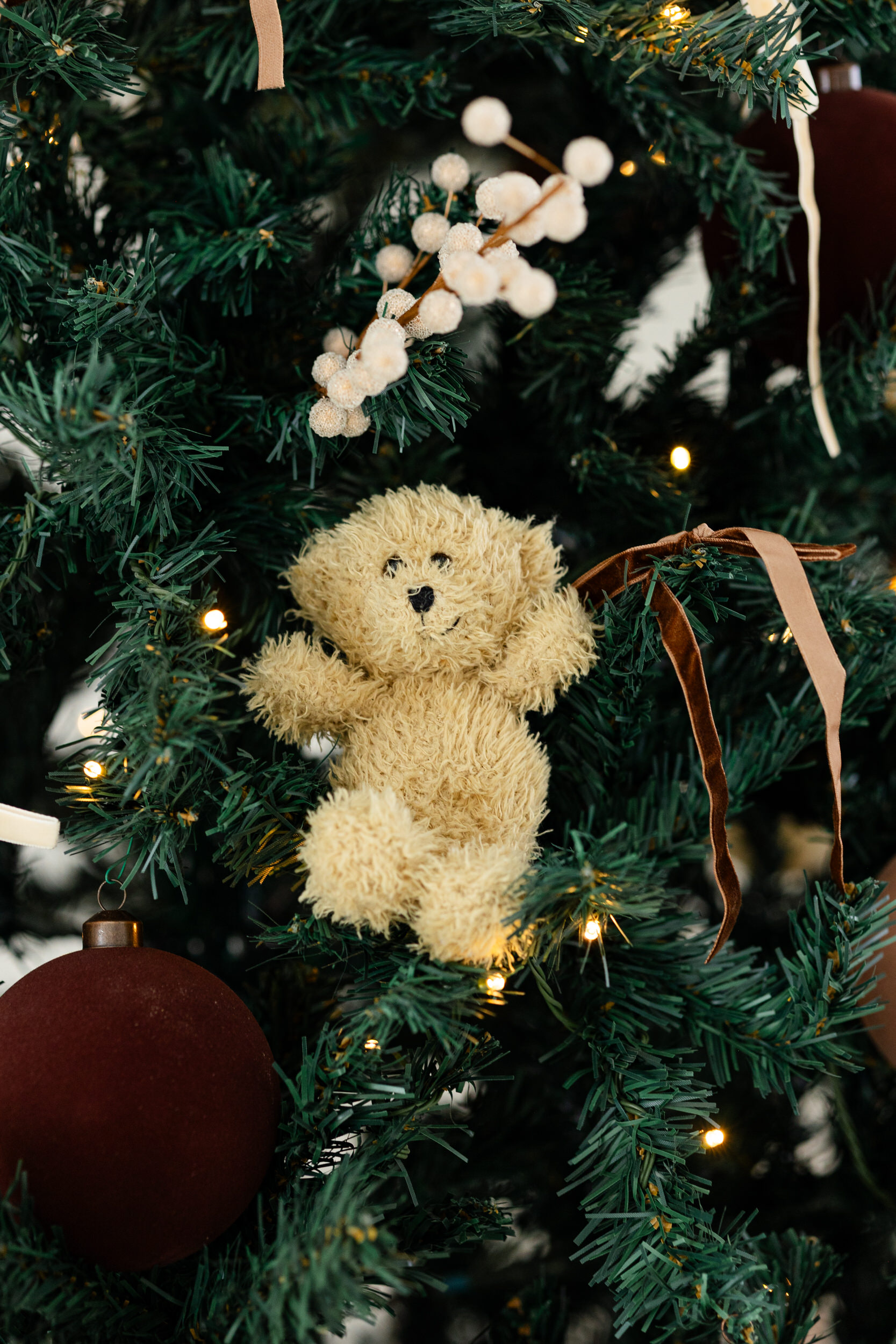 Teddy bear sits in Christmas tree.